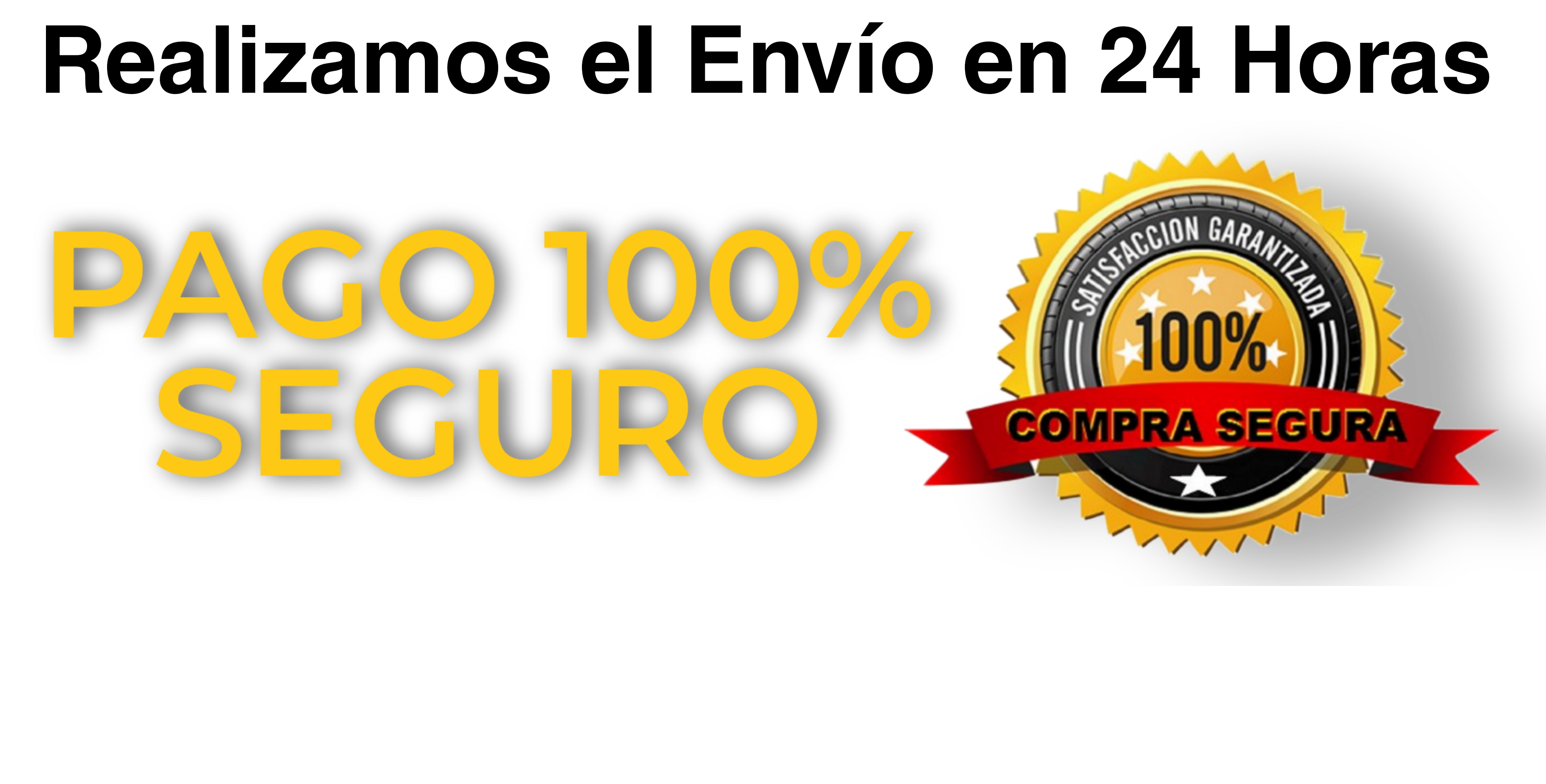 Logo de Pago Seguro